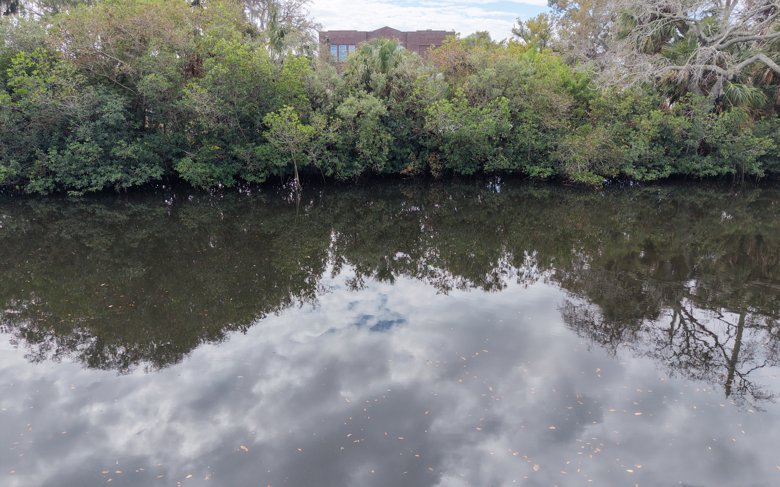 The historic 1922 Gulf High School across the Cotee River. BusinessFlare